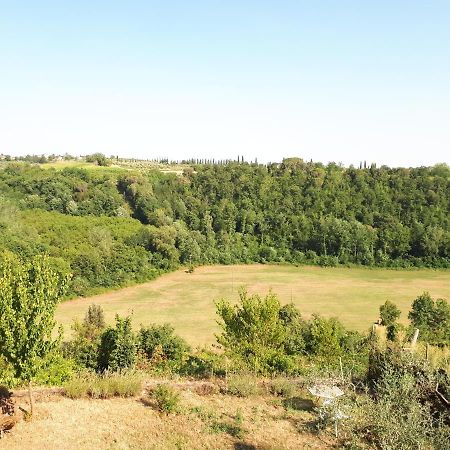 Podere Calcinaia Castelnuovo Berardenga Exterior foto