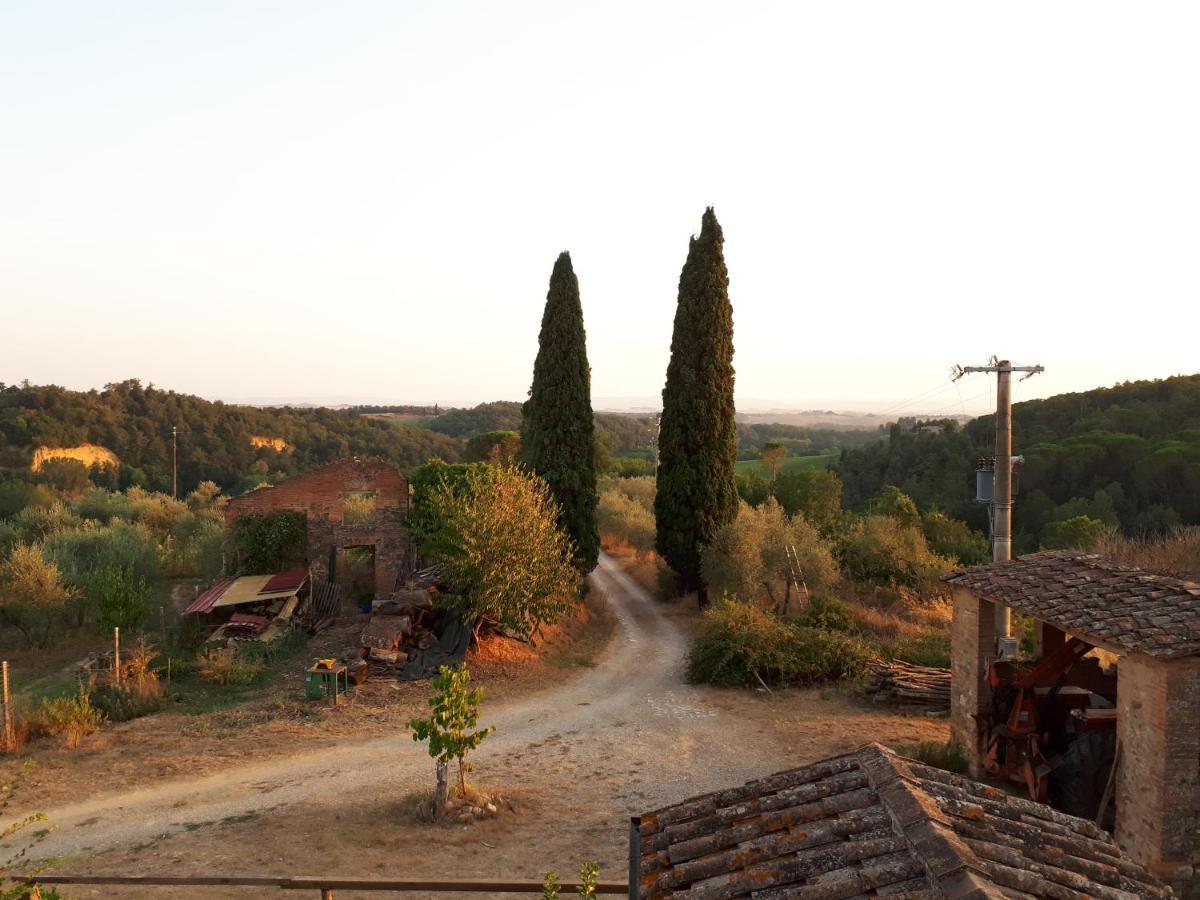 Podere Calcinaia Castelnuovo Berardenga Exterior foto