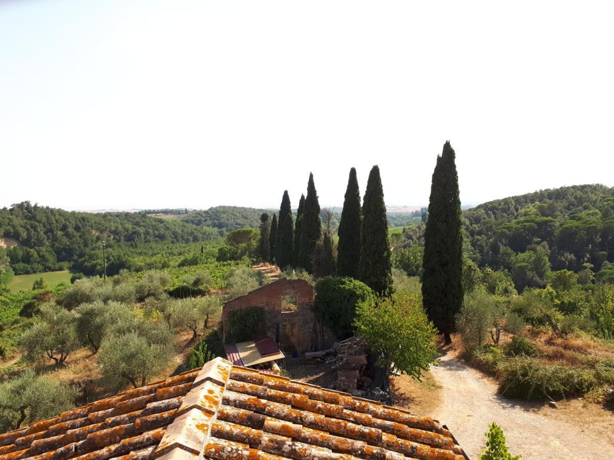 Podere Calcinaia Castelnuovo Berardenga Exterior foto